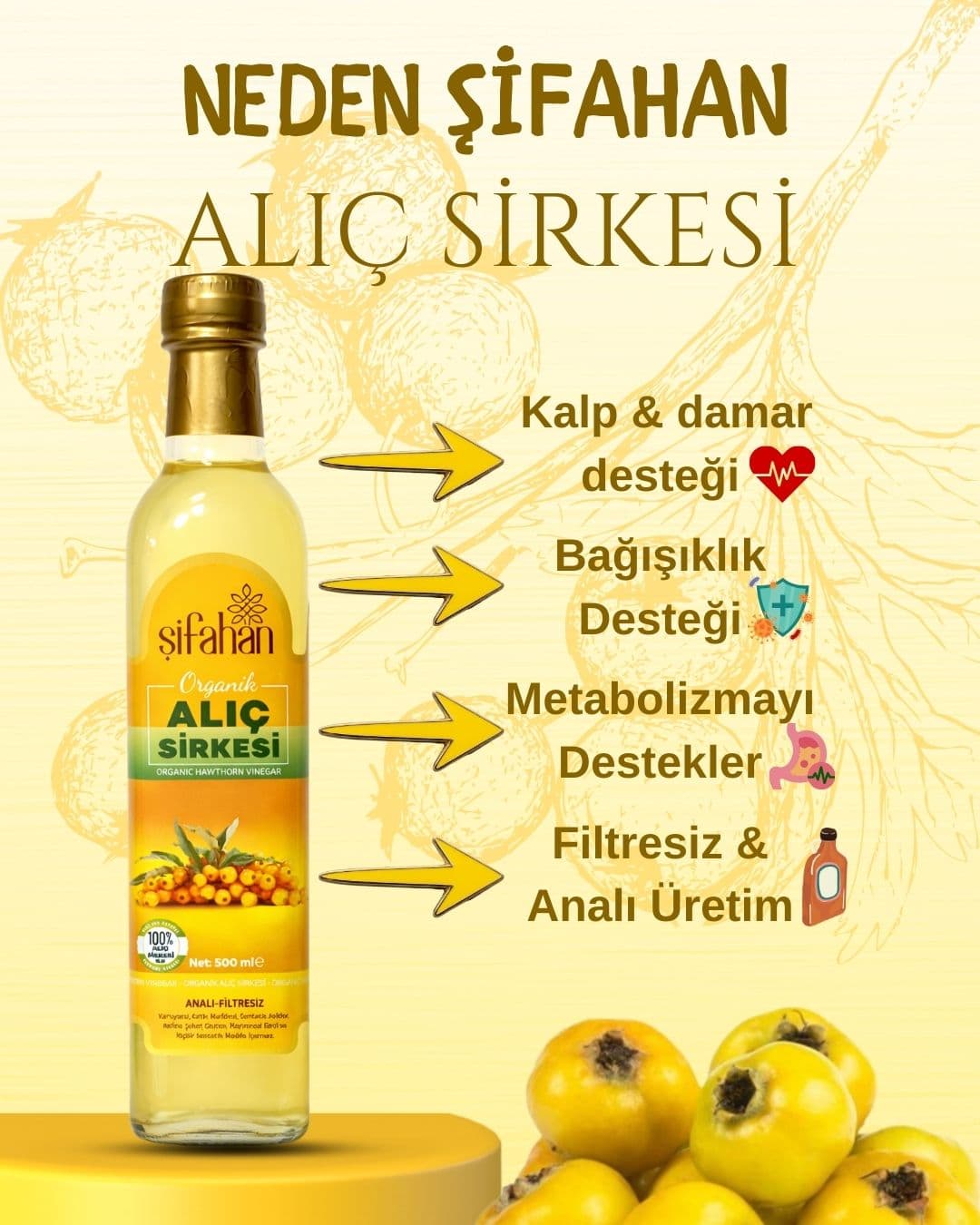Şifahan Alıç Sirkesi 500 ml – Doğal Fermente