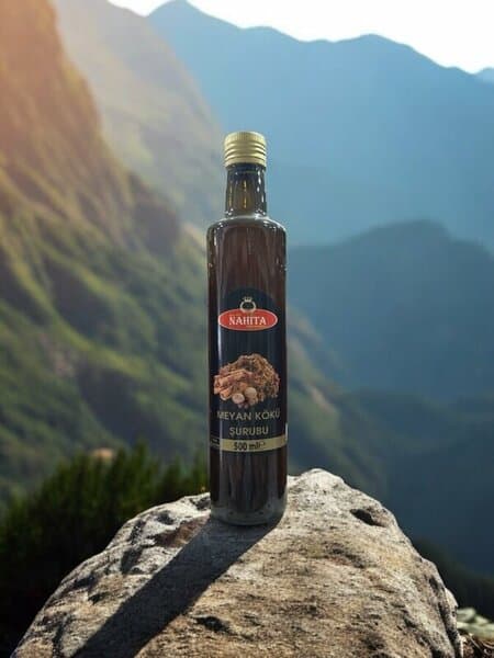 SAZLICA MEYAN KÖKÜ ŞURUBU 500 ML