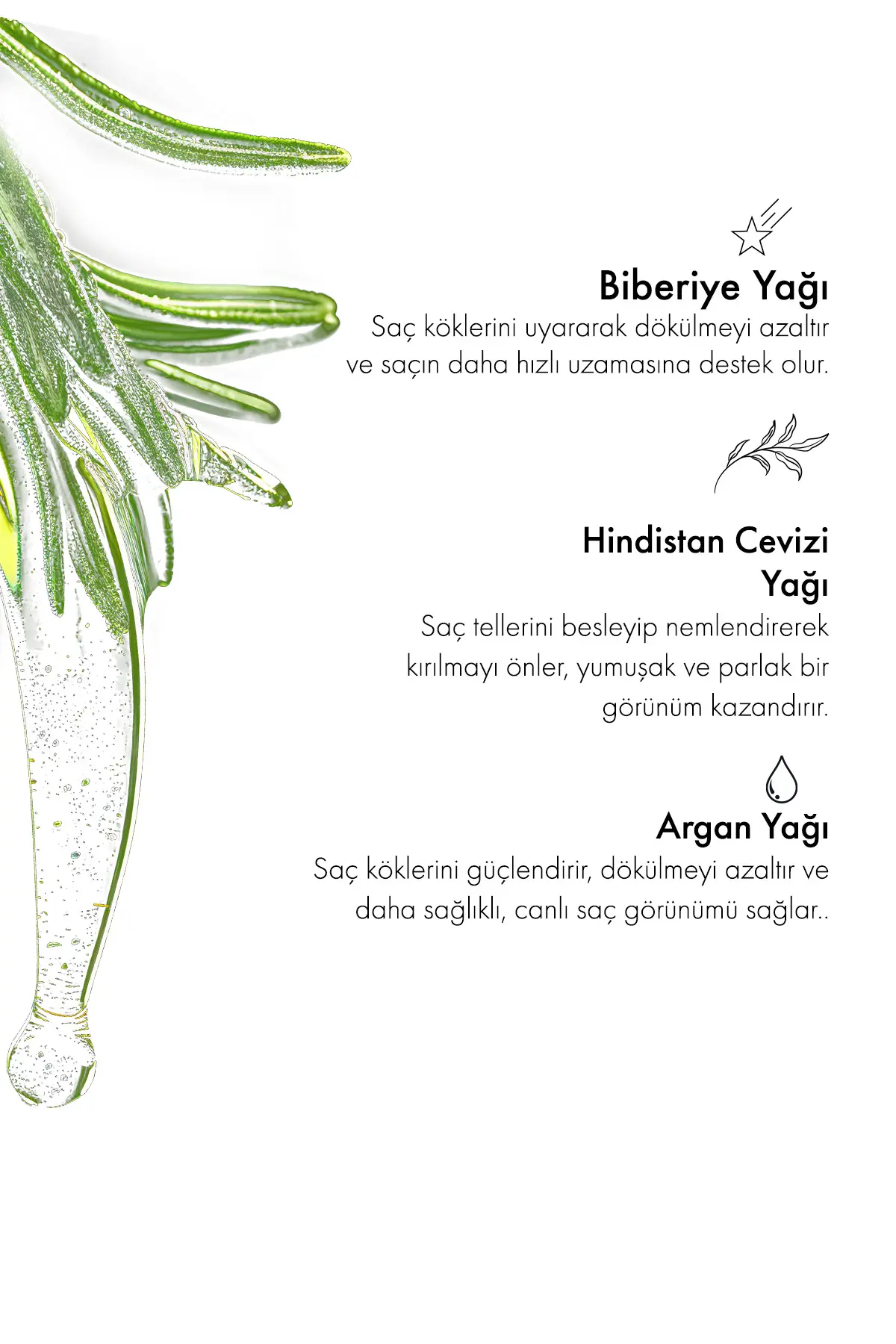 Green Label Biberiye, Hindistan Cevizi Argan ve Isırgan Yağı ile Zenginleştirilmiş Biberiye Saç Bakım Yağı 100ml