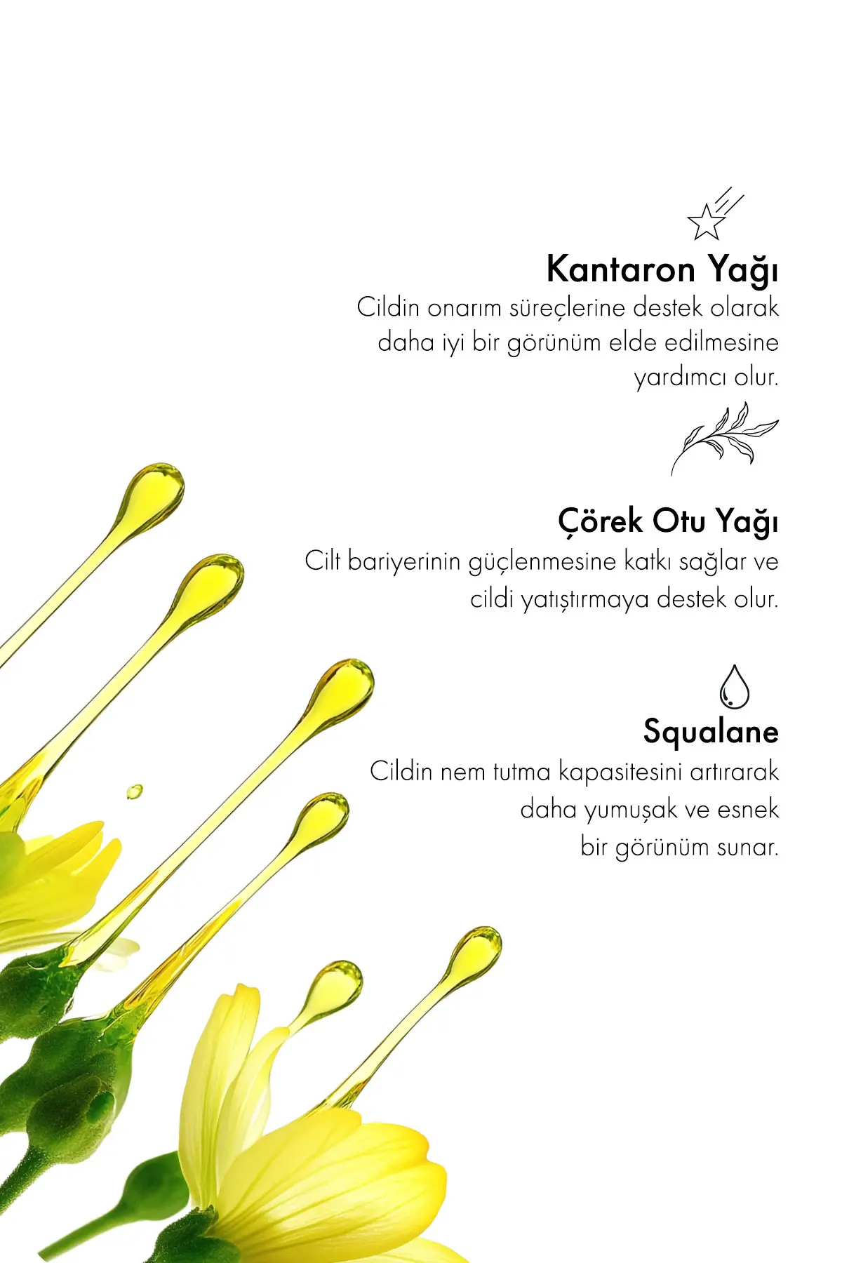 Green Label Greenlabel Kantaron Yağı Özlü Yoğun Onarıcı Cilt Bakım Kremi 50ml