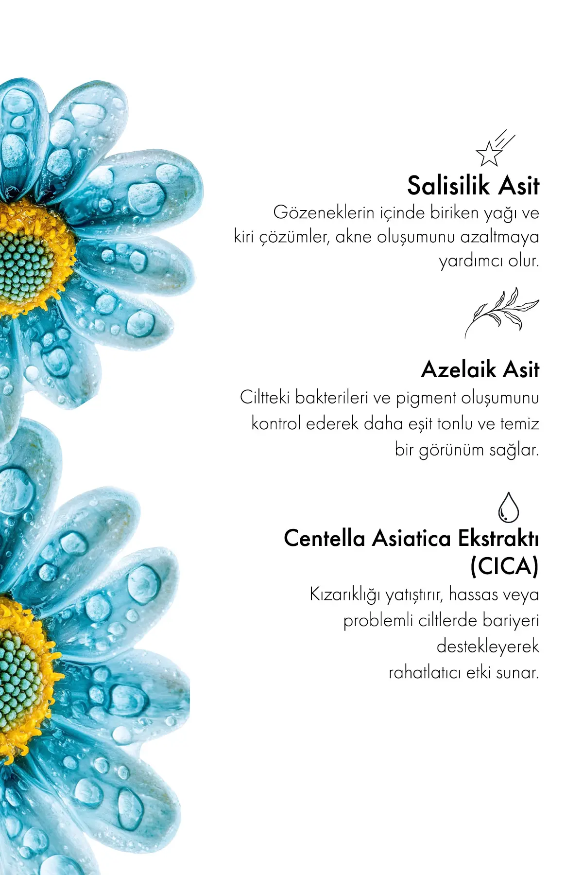 Green Label 3'lü Kore Sabunu Salisilik Asit CICA Sabun – Derinlemesine Temizlik ve Yağ Dengesi