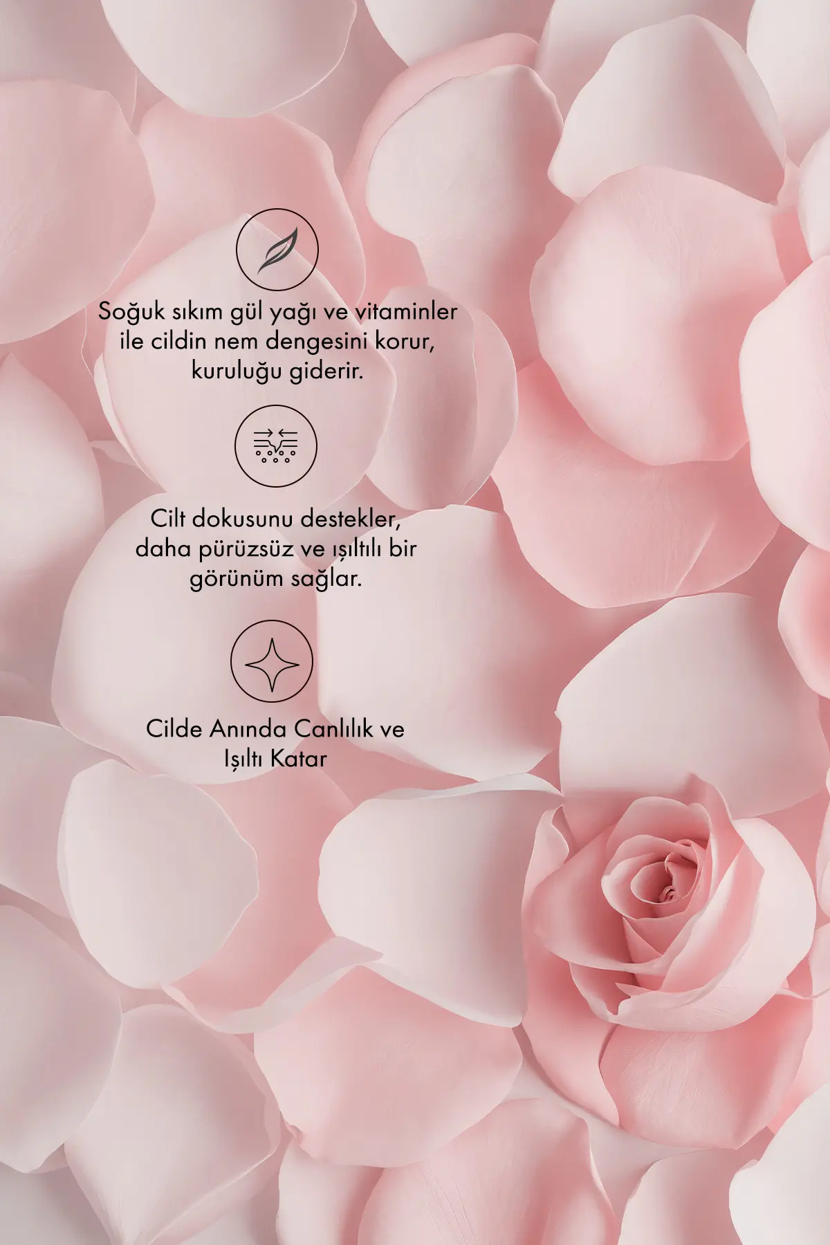Green Label Gül Yağı Kremi Nemlendirici, Kırışıklık Karşıtı Ve Cilt Sıkılaştırıcı Bakım 50 ml