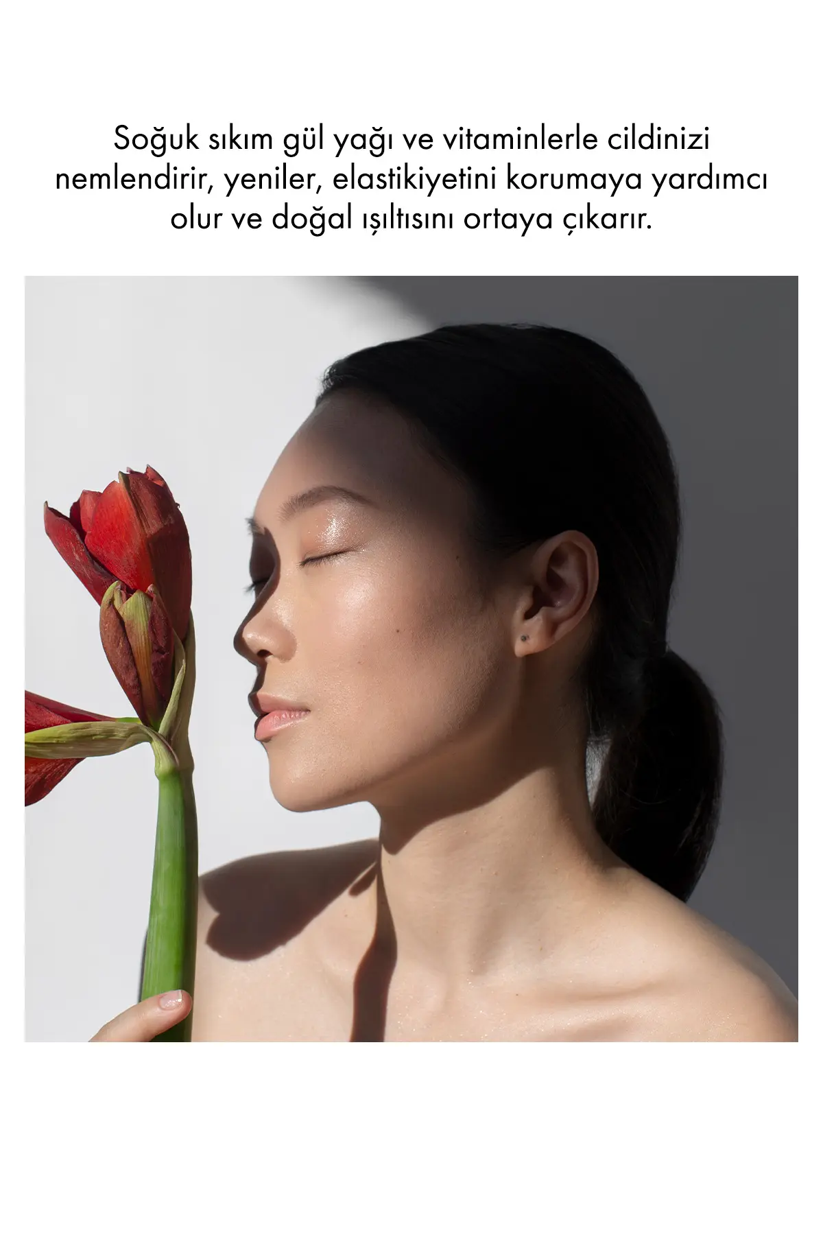 Green Label Gül Yağı Kremi Nemlendirici, Kırışıklık Karşıtı Ve Cilt Sıkılaştırıcı Bakım 50 ml