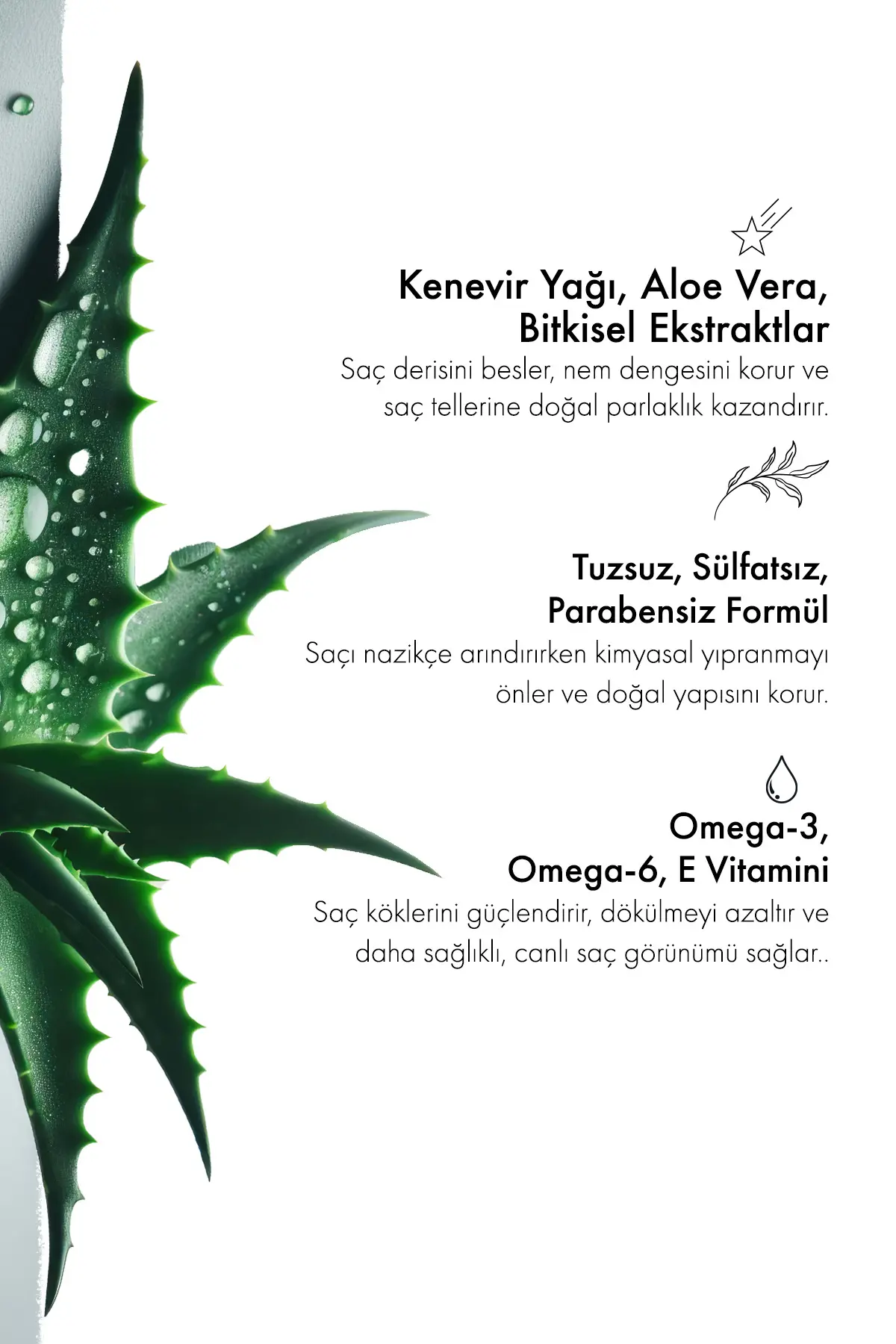 Green Label Greenlabel Kenevir Özlü Tuzsuz Parabensiz Sülfatsız Kepek Karşıtı Bakım Ve Onarım Şampuanı 400ml.