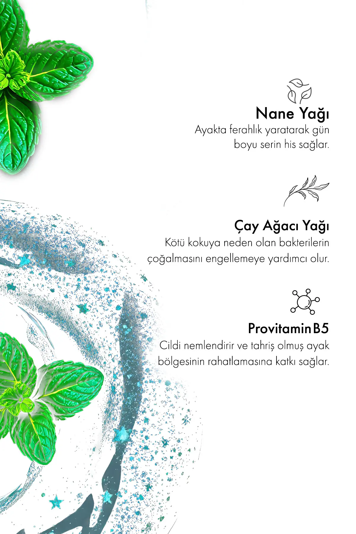 Green Label Nane ve Çay Ağacı İçeren Ayak Koku Giderici Sprey 100 ml
