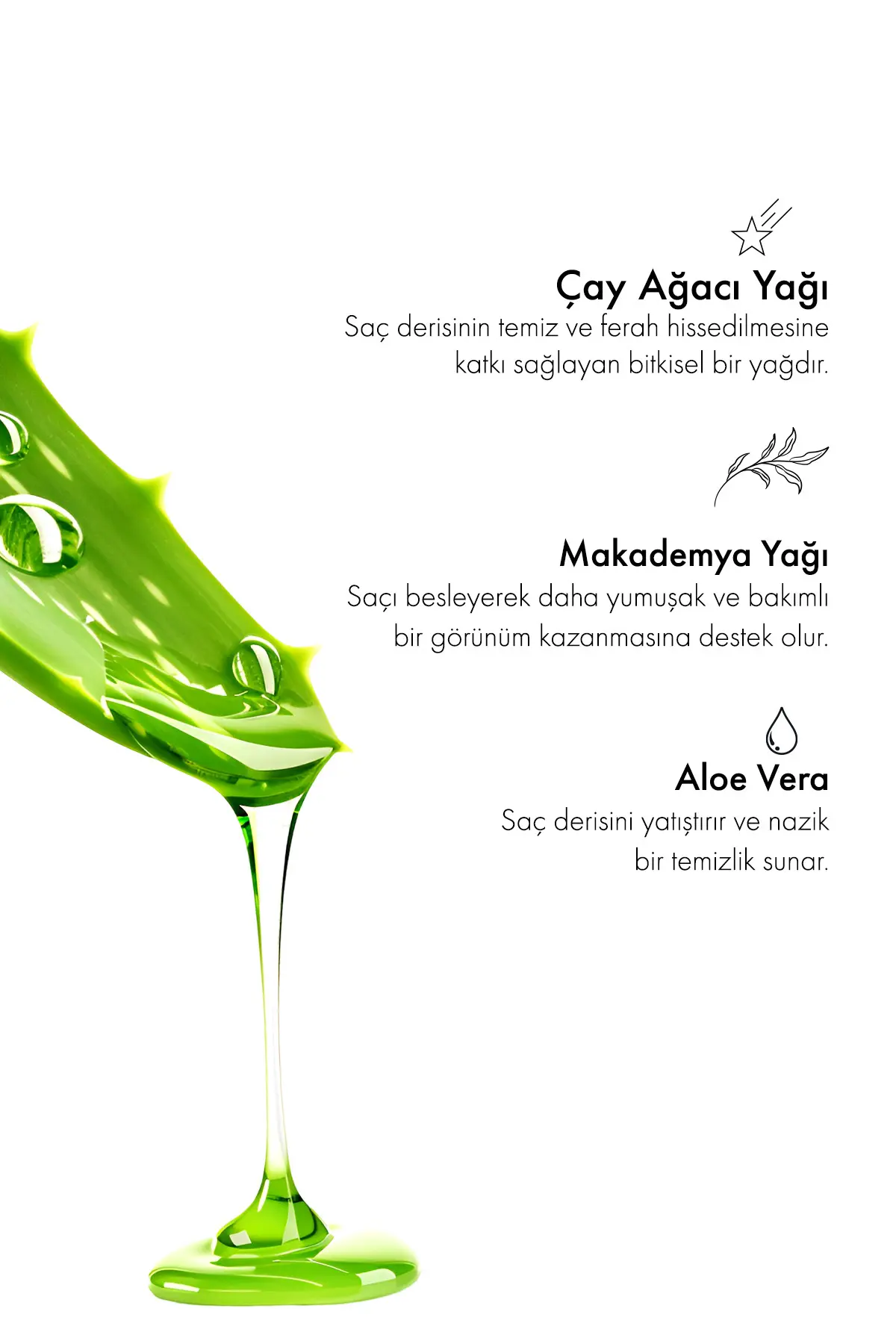 Green Label Çay Ağacı Ve Makademya Özlü Tuzsuz Parabensiz Sülfatsız Ve Silikonsuz Dökülme Karşıtı şampuan 400 ml