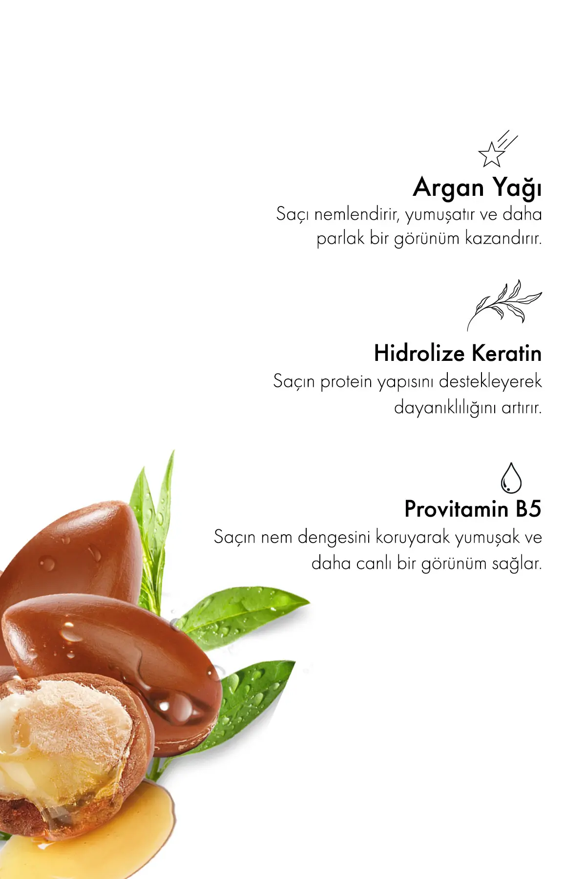 Green Label Argan Yağı, Keratin Ve Panthenol (B5 VİTAMİNİ) Içeren Yoğun Bakım Kompleksi 100 ml
