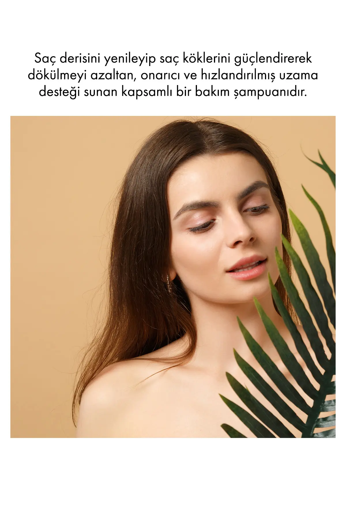 Green Label Greenlabel Siyah Sarımsak Özlü Parabensiz Tuzsuz Dökülme Ve Kepek Karşıtı Şampuan 400ml