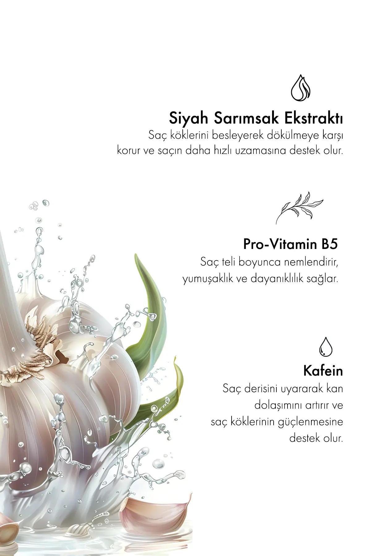 Green Label Greenlabel Siyah Sarımsak Özlü Parabensiz Tuzsuz Dökülme Ve Kepek Karşıtı Şampuan 400ml