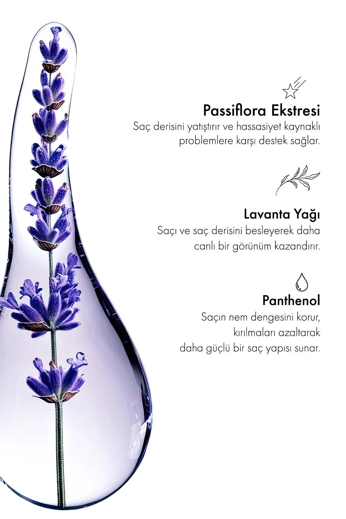 Green Label Passiflora Ve Lavanta Özlü Parabensiz Tuzsuz Kepek Karşıtı Bakım Ve Onarım Şampuanı 400ml