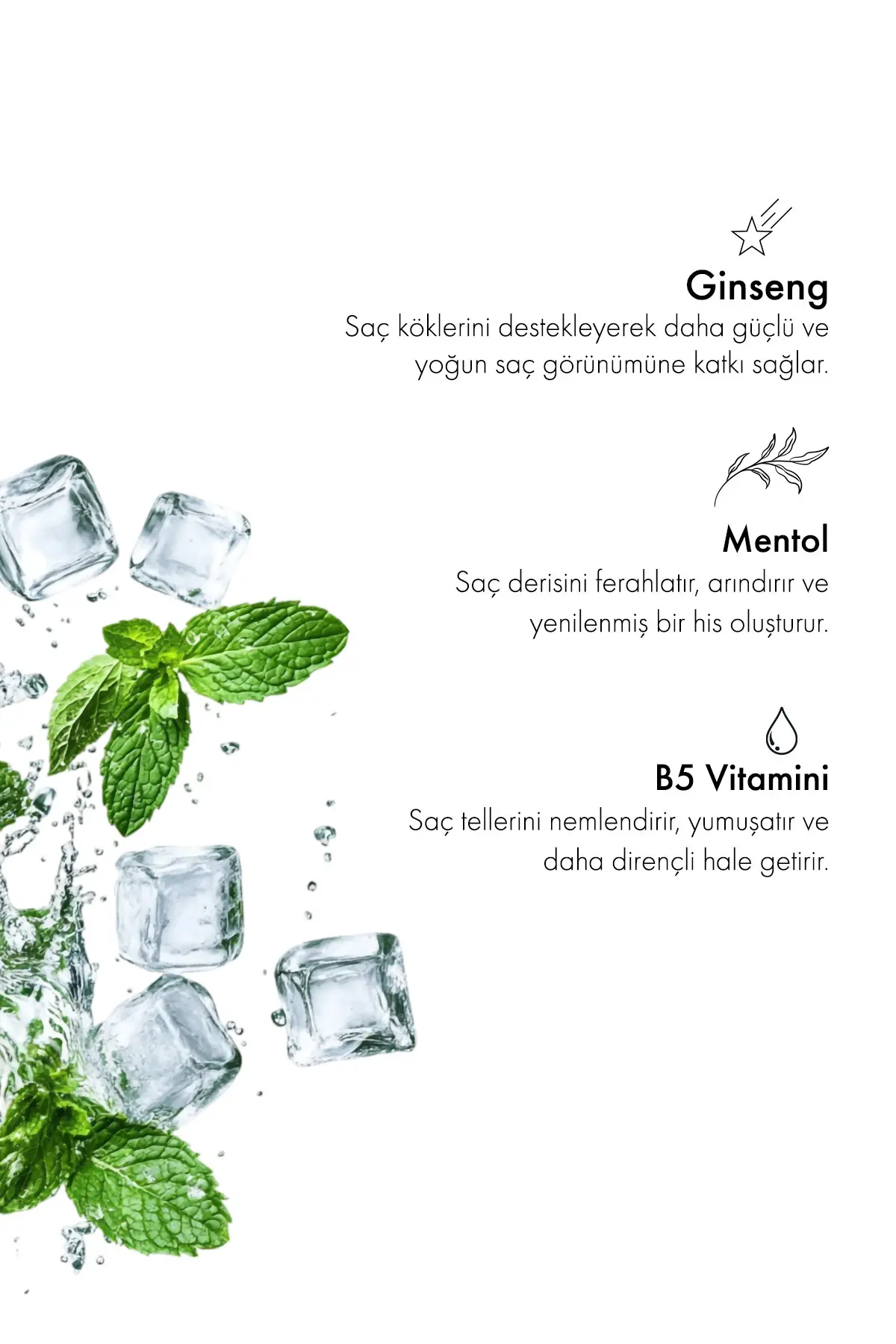 Green Label Greenlabel Ginseng Ve Nane Özlü Parabensiz Tuzsuz Kepek Karşıtı Bakım Ve Onarım Şampuanı 400ml