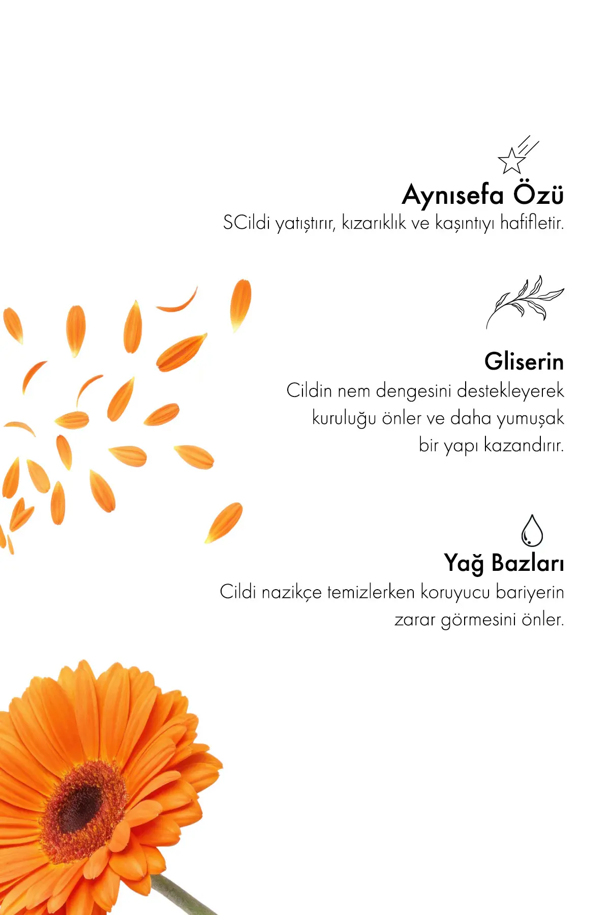 Green Label Aynısefa Sabunu Natural Hassas Ciltler Için 120gr.