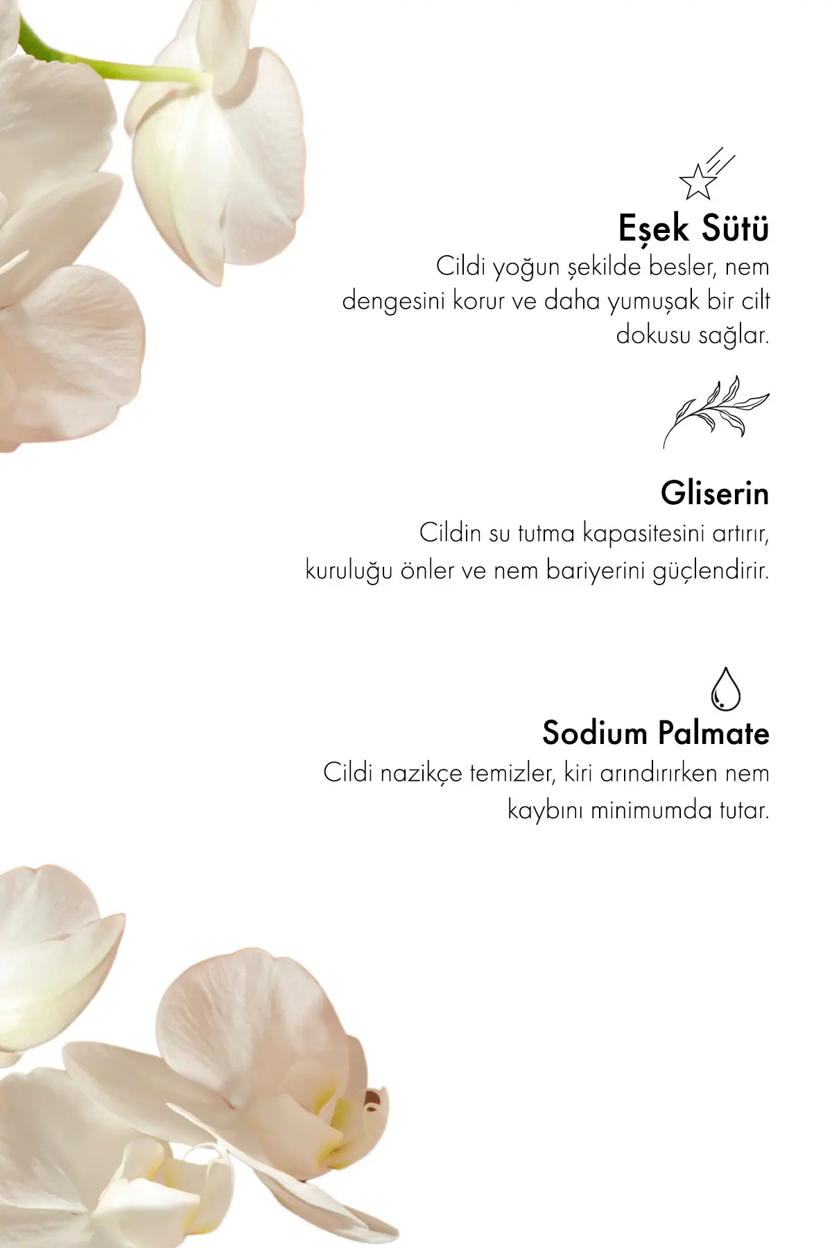 Green Label Eşek Sütü Sabunu Natural Canlandırıcı Ve Besleyici 120gr.