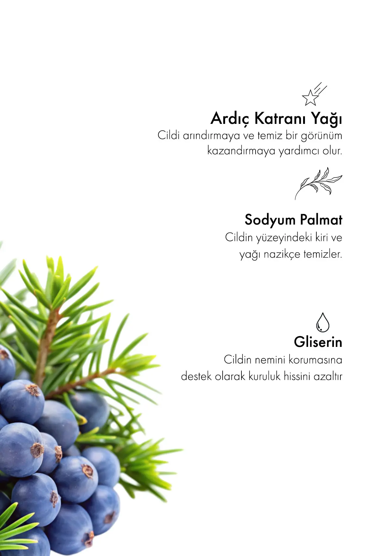 Green Label Ardıç Katranı Sabunu 120 gr