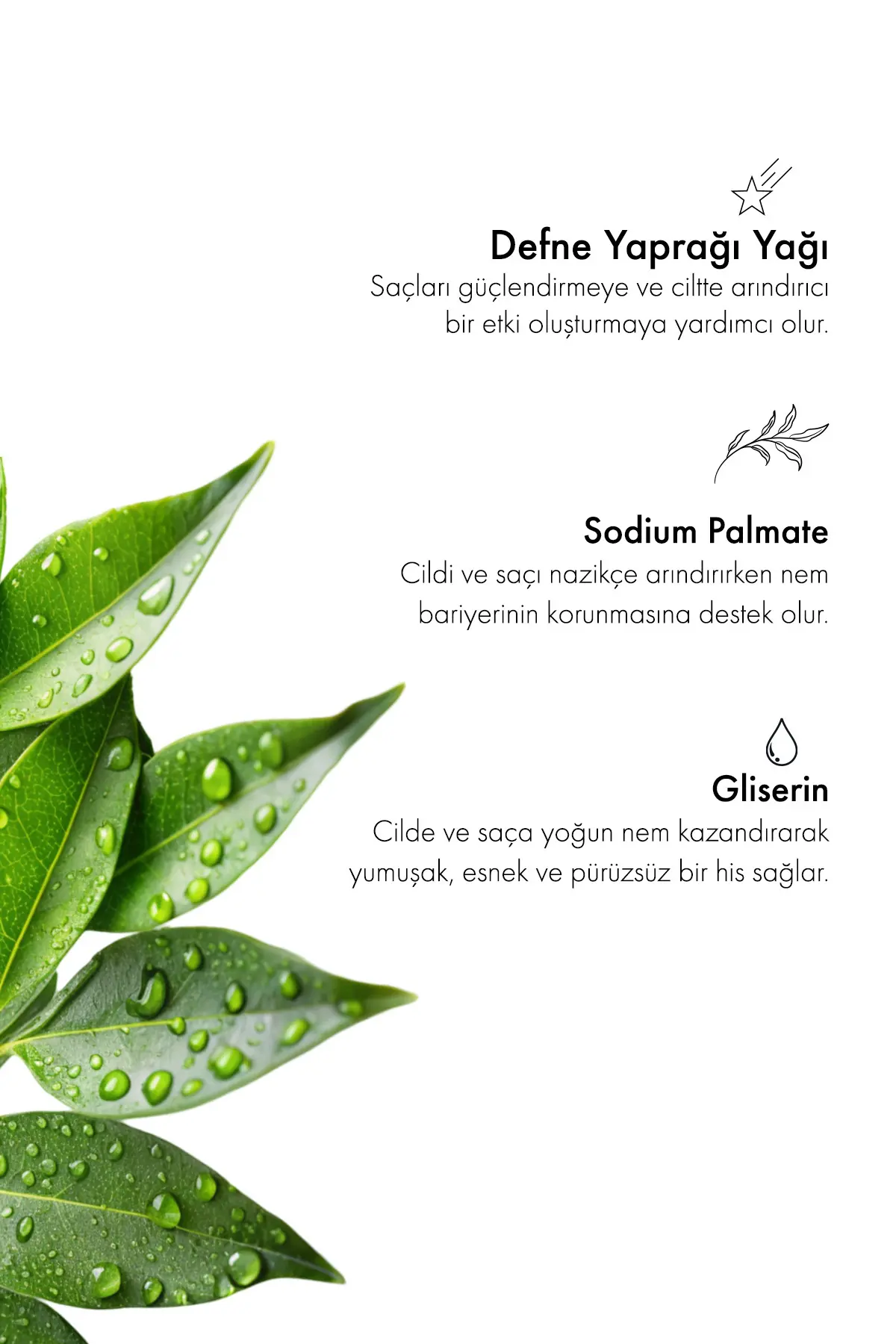Green Label Defne Sabunu Natural Saç Ve Cilt Için 120gr.