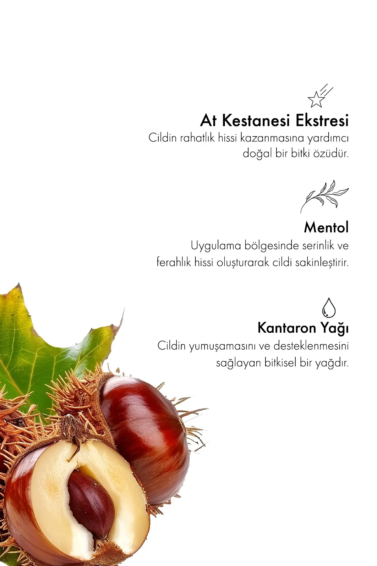 Green Label Horse Chestnut Balsam - At Kestanesi Ekstraktlı Rahatlatıcı Balsam 200 Ml.