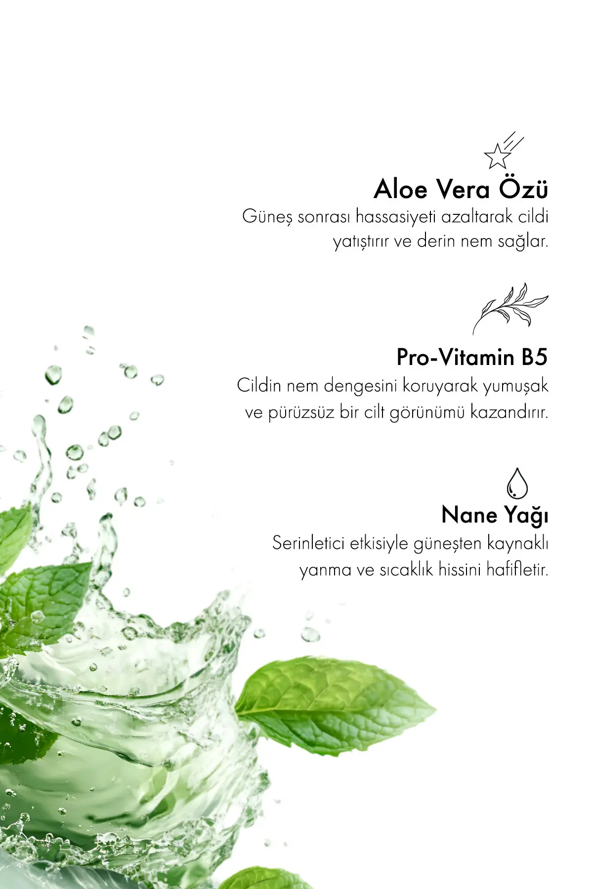 Green Label Güneş Sonrası Vücut Losyonu Aloe Vera Ve Nane Ekstraktı Içeren After Sun Body Lotion 200 ml