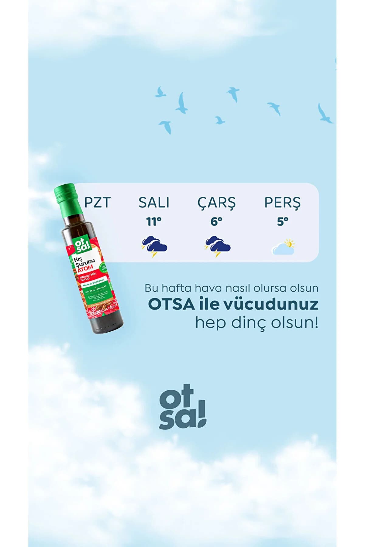 Otsa Atom Kış Şurubu Kozalak Pekmezi, Zencefil, Ekinezya ve Bitki Ekstraktları İçeren Doğal Karışım 350g
