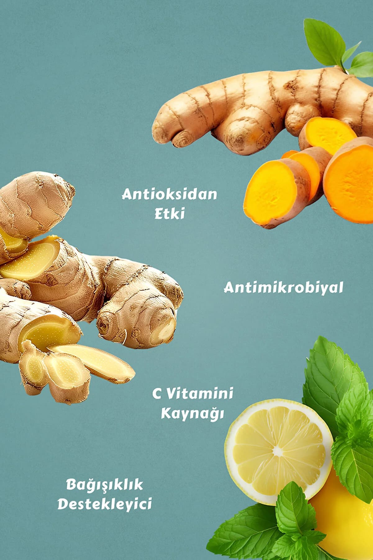 Mecitefendi Winter Shot Nane Limon Aromalı Içecek Tozu
