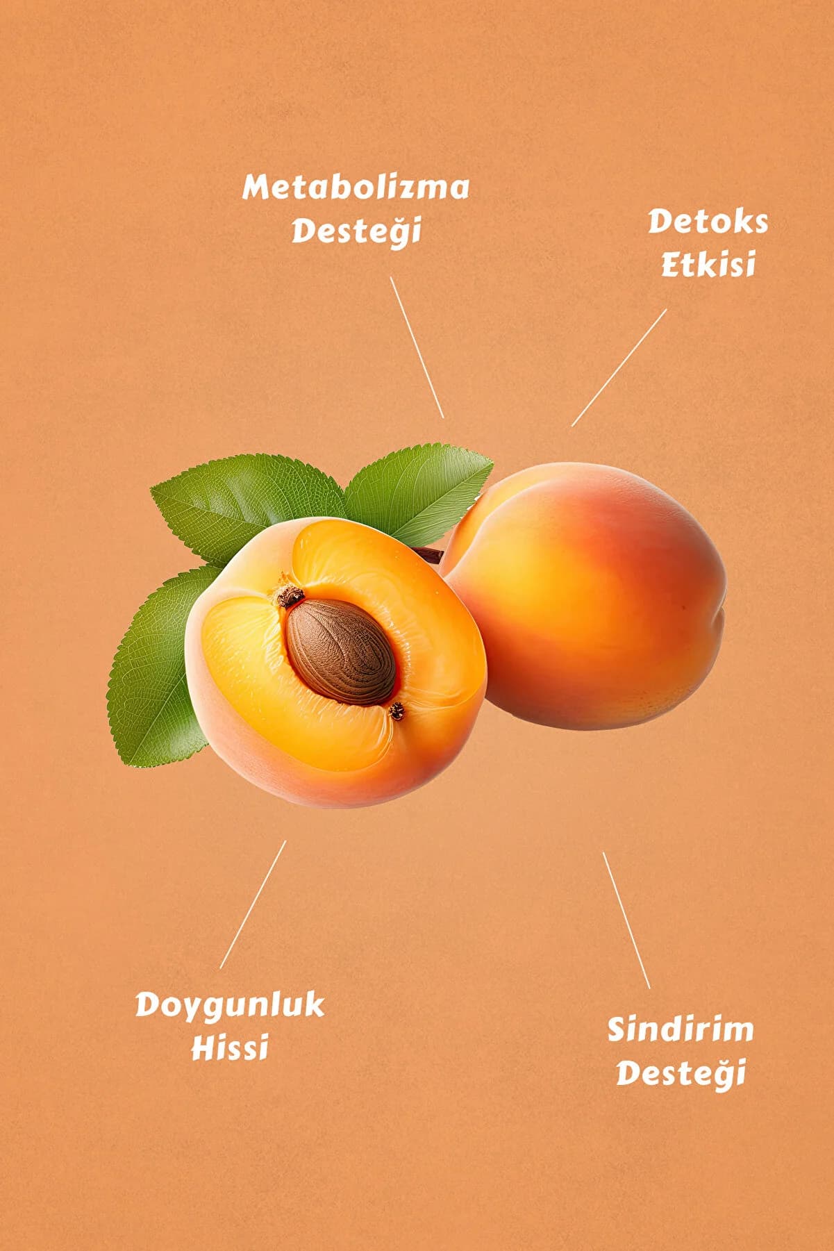 Mecitefendi Kayısı Aromalı Form Çayı