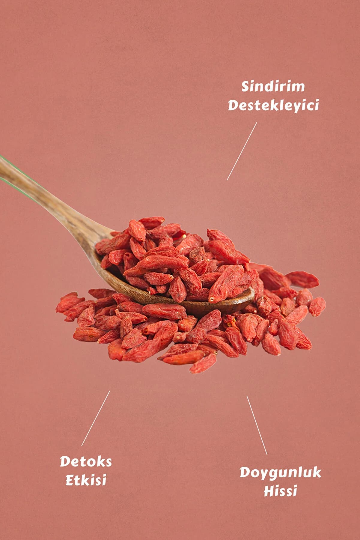 Mecitefendi Goji Berry Süzen Poşet 40'lı 8697459027492