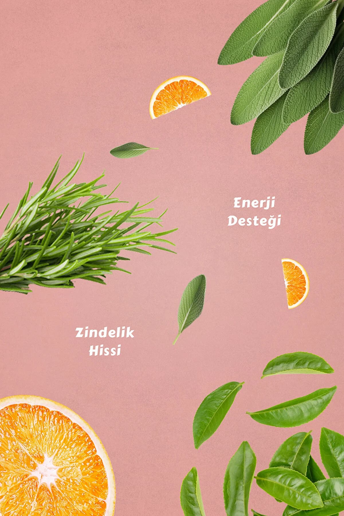 Mecitefendi Hareketlen Bitki Çayı