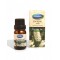 MECİTEFENDİ ÇAY AĞACI YAĞI 10 ML
