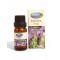 Mecitefendi Karabaş Otu Yağı 10 ML