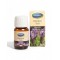 Mecitefendi Karabaş Otu Yağı 20 ML